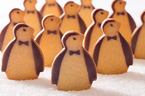 Group Of Penguins Is Called 20
